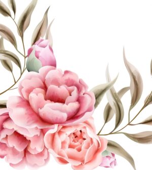 وکتور گلهای رز صورتی مناسب طراحی کارت های عروسی، جشنها و پوستر