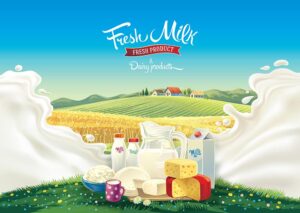 وکتور تبلیغاتی محصولات لبنی، شیر، ماست،پنیر و کره با چشم انداز مزرعه روستایی