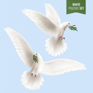 وکتور کبوترهای سفید و شاخه زیتون، نماد صلح و آرامش