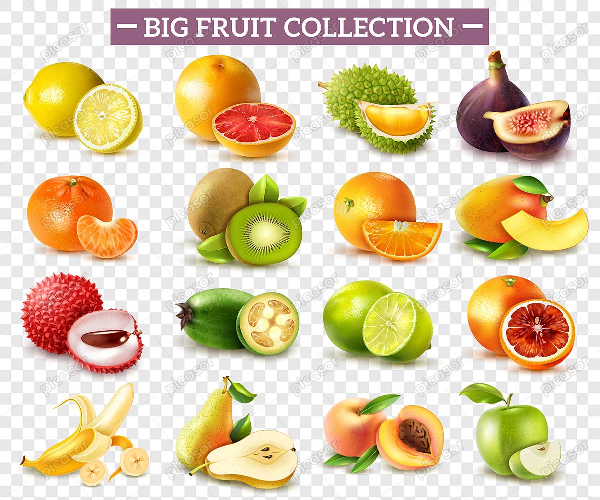 مجموعه بزرگ از وکتور انواع میوه