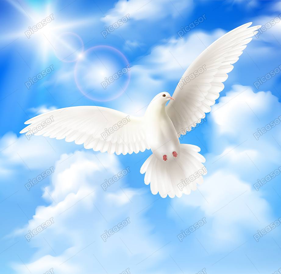 وکتور کبوتر های سفید در حال پرواز در آسمان آبی و ابرهای سفید