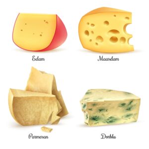 وکتور پنیر محصولات لبنی