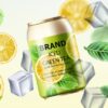 وکتور بطری لیموناد چای سبز سرد و تبلیغ نوشیدنی  با المانهای قالب یخ و لیمو