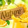 وکتور لیوان آب پرتقال – پس زمینه وکتور آب پرتقال طبیعی
