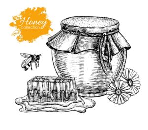 وکتور ظرف عسل به همراه موم عسل و زنبور عسل - وکتور پس زمینه ظرف عسل طبیعی