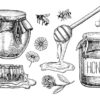 10 وکتور المانهای عسل با ظرف عسل به همراه زنبور و گل
