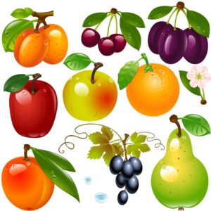 وکتور گیلاس آلبالو زردآلو سیب گلابی انگور پرتقال و شکوفه - 10 وکتور انواع میوه های درختی و گلهای گیلاس