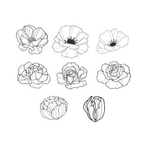 8 وکتور گل و گلبرگ مینیمال گل نقاشی خطی ساده