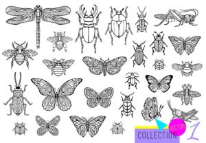 27 وکتور پروانه سنجاقک سوسک و حشرات دیگر - وکتور حشرات طرح اسکچ خطی