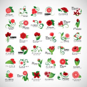 36 وکتور لوگو گل لاله گل شقایق گل داوودی - وکتور لوگو گل و برگ های بسیار زیبا و لوکس