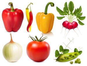 وکتور تربچه و پیاز و فلفل قرمز گوجه فرنگی نخود فرنگی سبک طراحی واقعی - وکتور سبزیجات تند