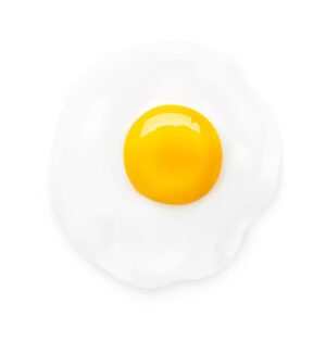 وکتور نیمرو تخم مرغ - وکتور زرده و سفیده تخم مرغ