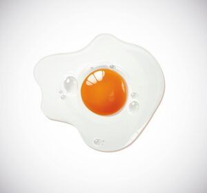 وکتور نیمرو تخم مرغ طراحی واقعی - وکتور زرده و سفیده تخم مرغ