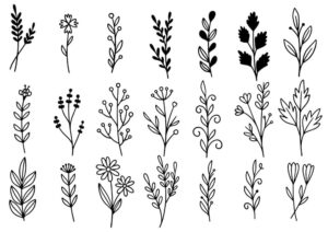 21 وکتور نقاشی شاخه گل و برگ مینیمال - وکتور گل و شاخه برگ مینیمال ساده - مجموعه گل مینیمال خطی