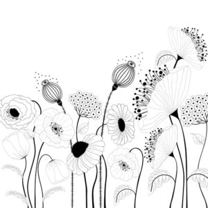 وکتور گل های شقایق نقاشی خطی - وکتور خطی شاخه گل های شقایق