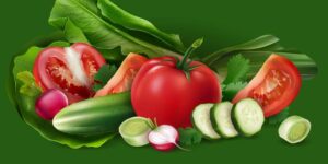 وکتور کاهو تربچه خیار گوجه فرنگی تازه - وکتور سبزیجات