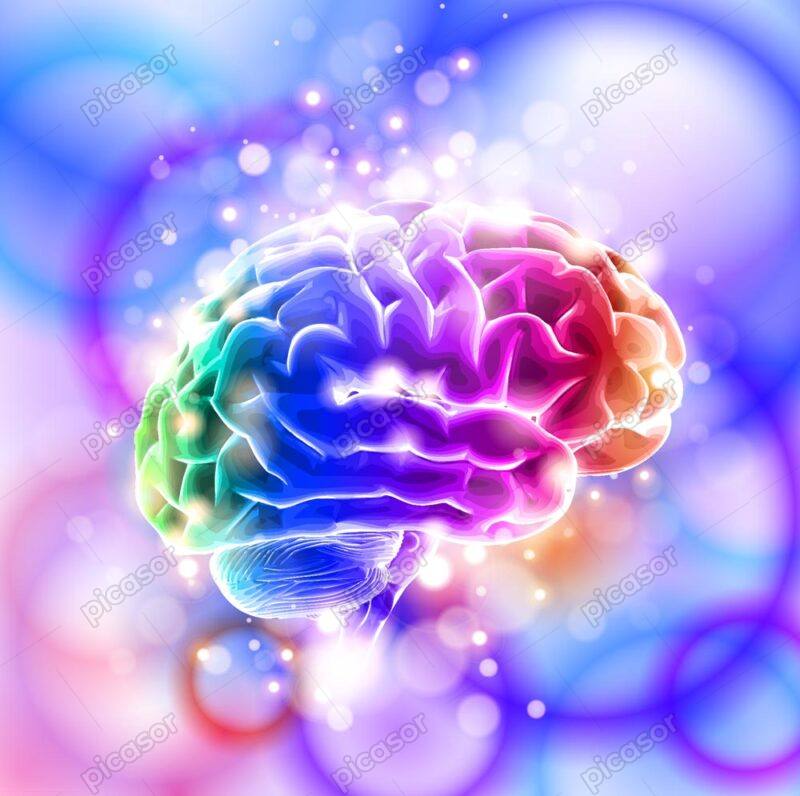 وکتور پس زمینه مغز انسان طرح رنگی - وکتور پس زمینه علم و فن آوری