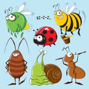 6 وکتور حشرات کارتونی - مجموعه وکتور کارتونی حشرات زنبور حلزون کفشدوزک مگس و مورچه