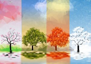 وکتور 4 فصل وکتور درخت در فصول مختلف - وکتور فصلهای تابستان زمستان پاییز و بهار