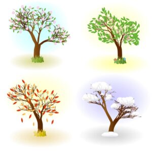 وکتور 4 فصل وکتور درخت در فصول مختلف طرح گرافیکی
