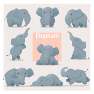 9 وکتور تصویر سازی بچه فیل در حالتهای مختلف