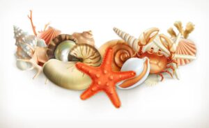 وکتور صدف ستاره دریایی خرچنگ و حلزون طراحی واقعی