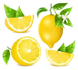 4 وکتور لیمو طراحی واقعی - وکتور میوه