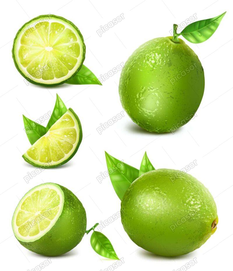 6 وکتور لیمو ترش سبز طراحی واقعی - وکتور میوه