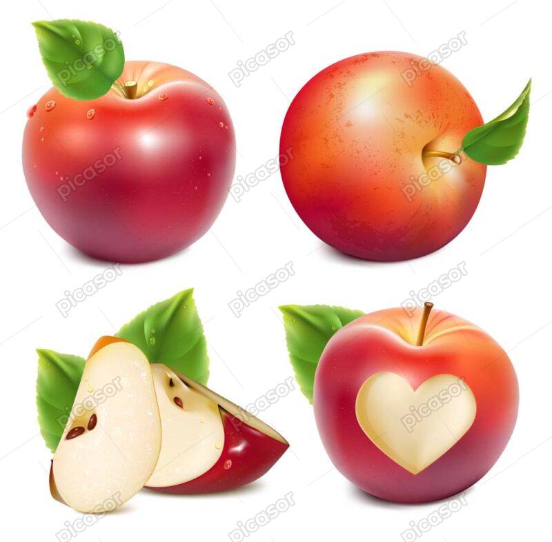 4 وکتور سیب قرمز با طراحی واقعی - وکتور میوه