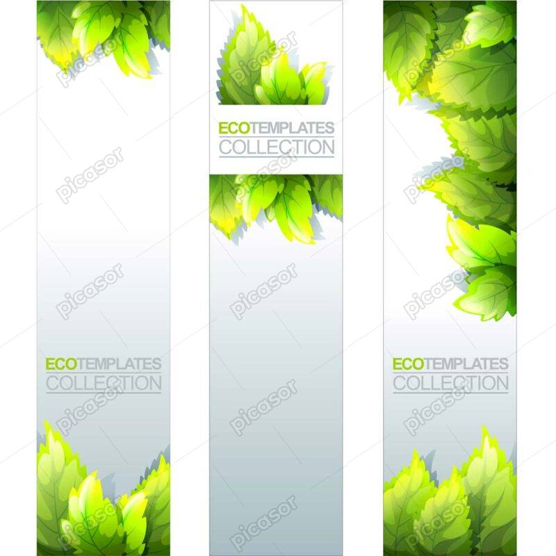 وکتور لیبل ارگانیک با برگهای سبز