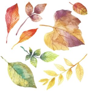 مجموعه 8 وکتور برگ زرد پاییزی نقاشی آبرنگ
