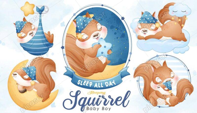 5 وکتور بچه سنجاب کارتونی در خواب