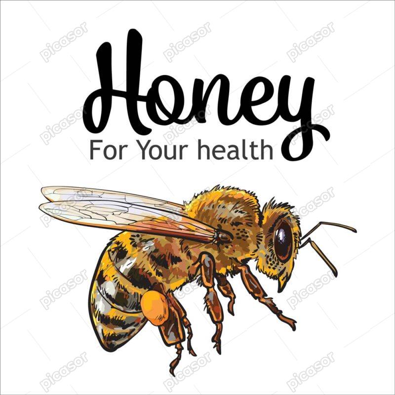 وکتور زنبور عسل واقعی